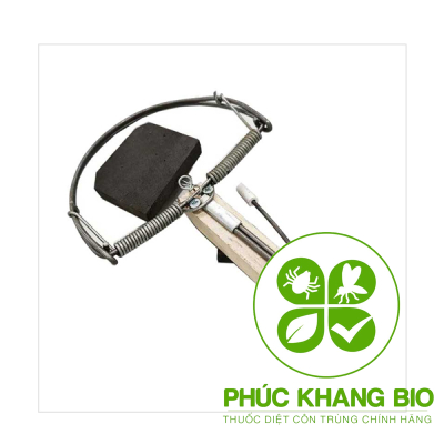 bay-diet-chuot-ban-nguyet-6486.jpg