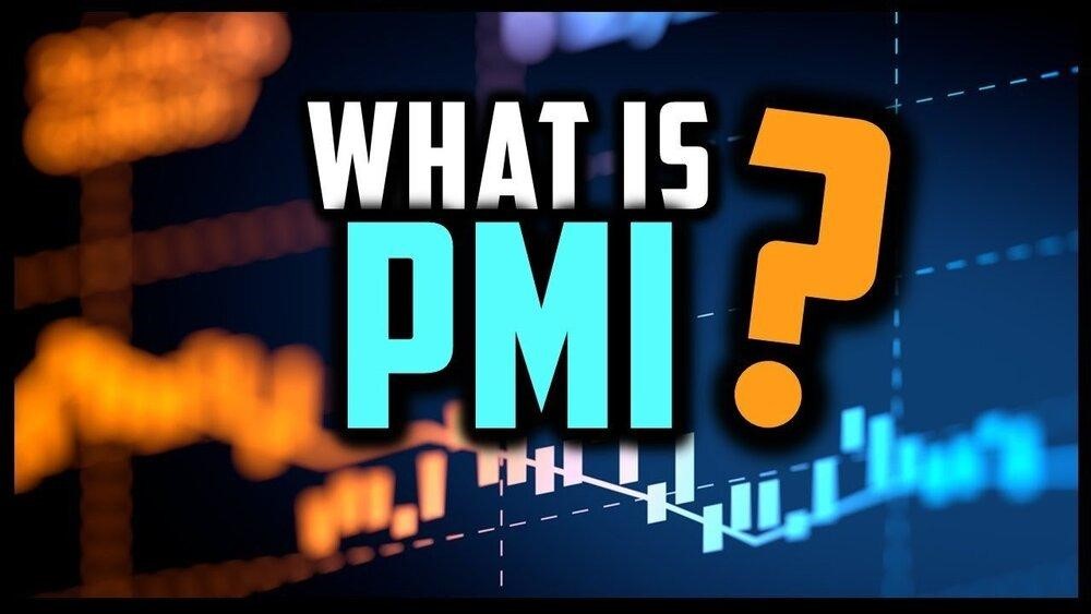 PMI-1.jpg