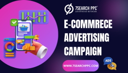 E-commrece advertising Campaign.png