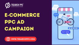 E-commerce PPC Ad Camapign.png