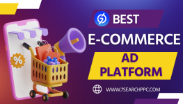 Best e-commerce ad platform (1).png