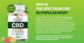 Golden Touch Fusion CBD Gummies1.JPG