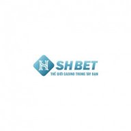 shbet800comm